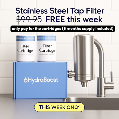 HydraBoost™ Stainless Steel Tap Filter