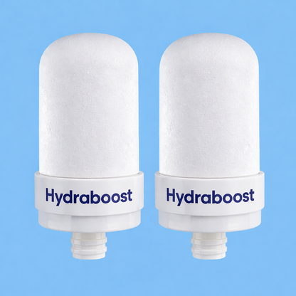 FREE HydraBoost™ Stainless Steel Filter Cartridge ReplacementS - 6 Months