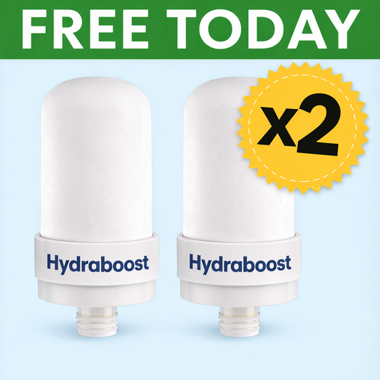 FREE HydraBoost™ Stainless Steel Filter Cartridge ReplacementS - 6 Months